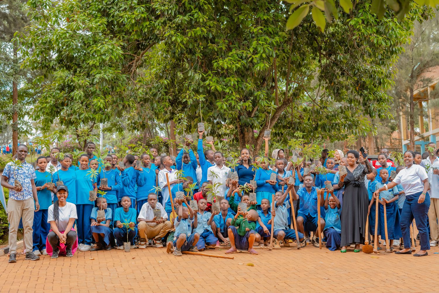 Students holding seedlings during a green school activity